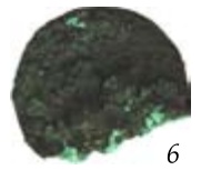 a466d22cc498e37c